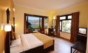 Hotel Himalaya Nainital - Room